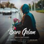 دانلود آهنگ رضا دالوند برو گلم